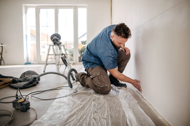 Best Ceiling Drywall Installation  in Wray, CO